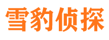 冕宁调查公司